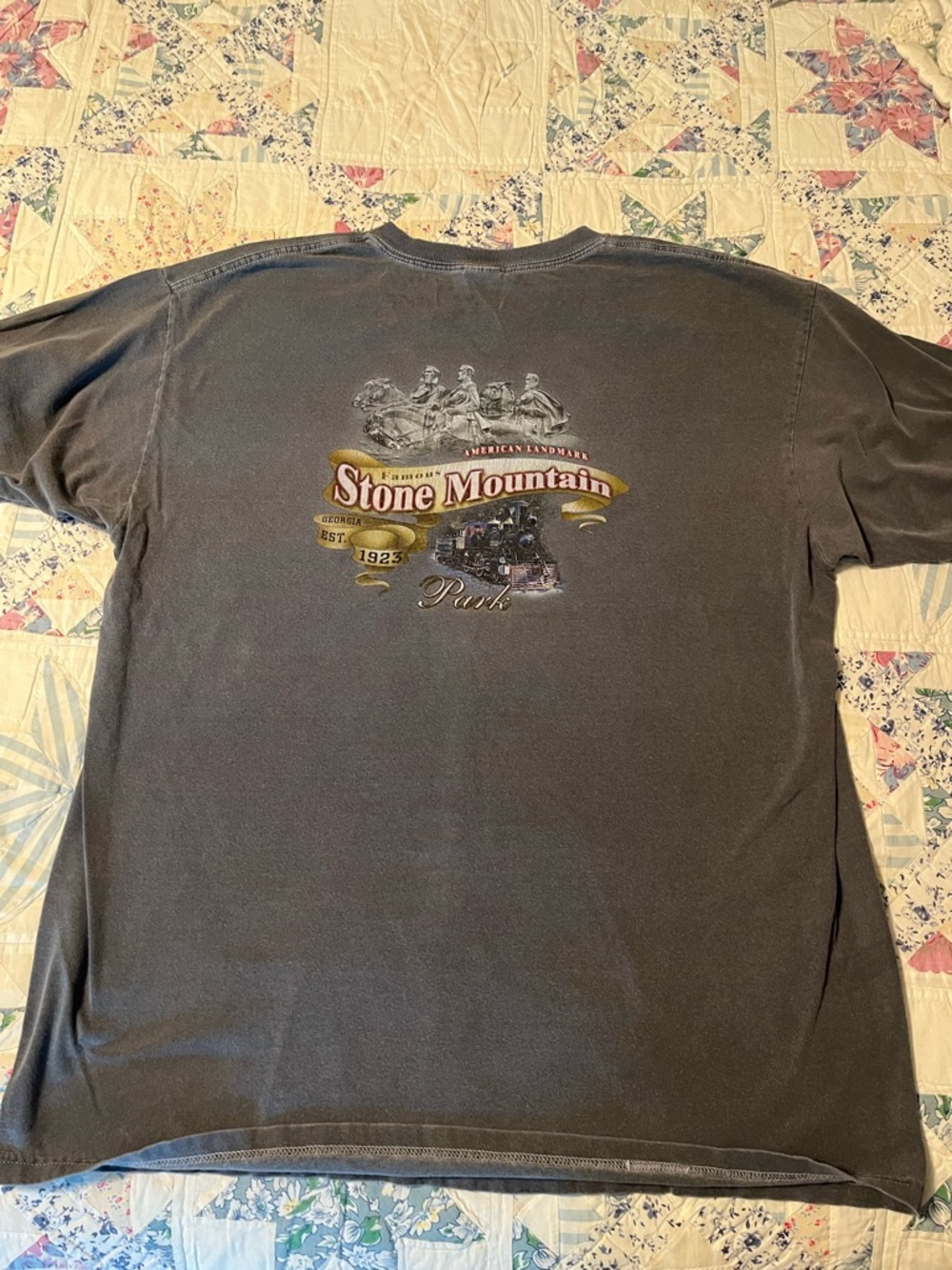Stone Mountain GA Accessories Men's Washed Black Graphic Tee